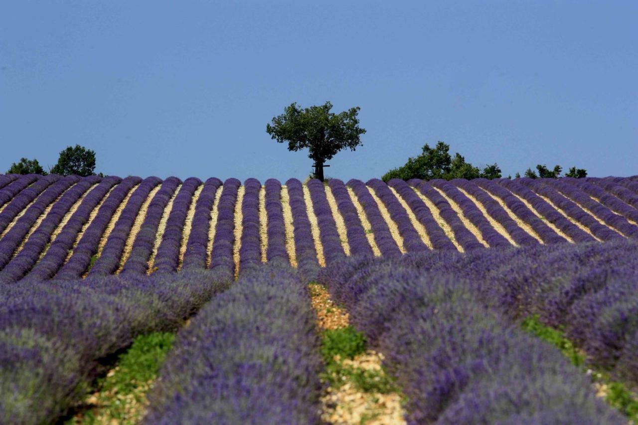 Clos Des Lavandes - Chambres Et Suites De Charme Climatisees-Luberon Lacoste  Buitenkant foto