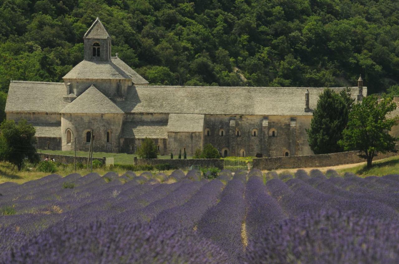 Clos Des Lavandes - Chambres Et Suites De Charme Climatisees-Luberon Lacoste  Buitenkant foto