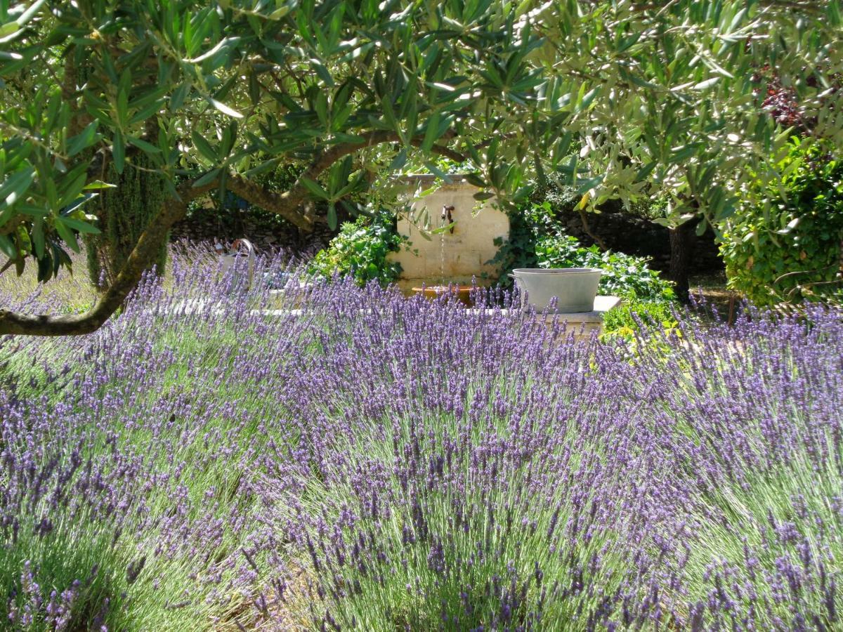 Clos Des Lavandes - Chambres Et Suites De Charme Climatisees-Luberon Lacoste  Buitenkant foto
